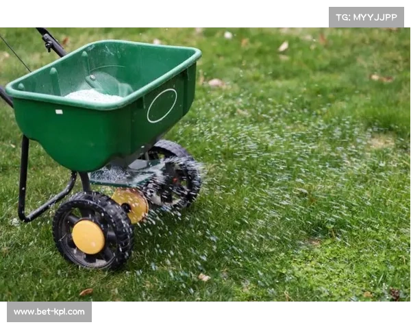 草坪养护技术革新，冬季比赛条件改善